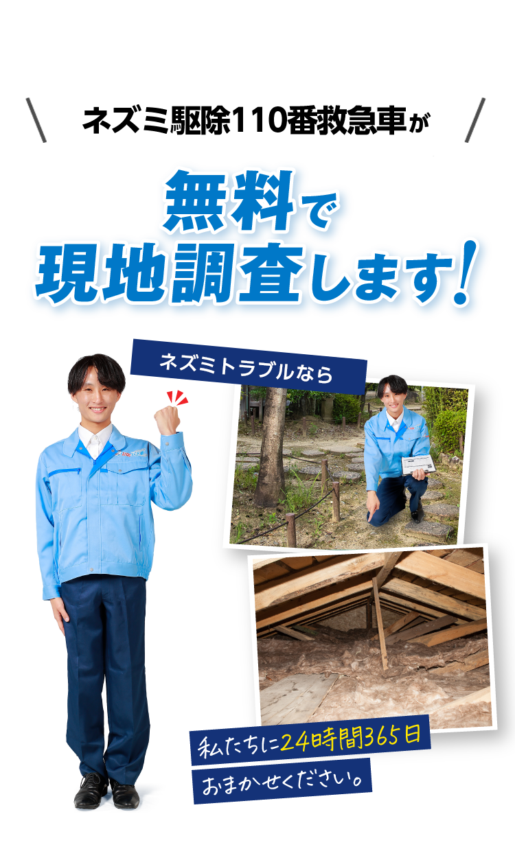 ネズミ駆除110番救急車が無料で現地調査します
