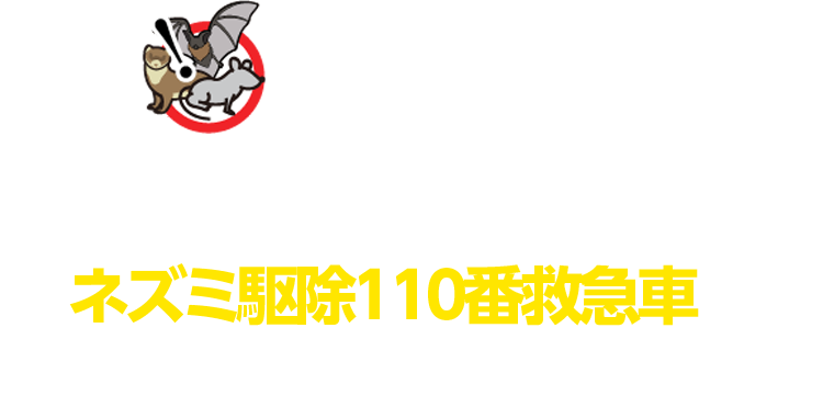 ネズミを見つけたら、まずはネズミ駆除110番救急車にご依頼ください！