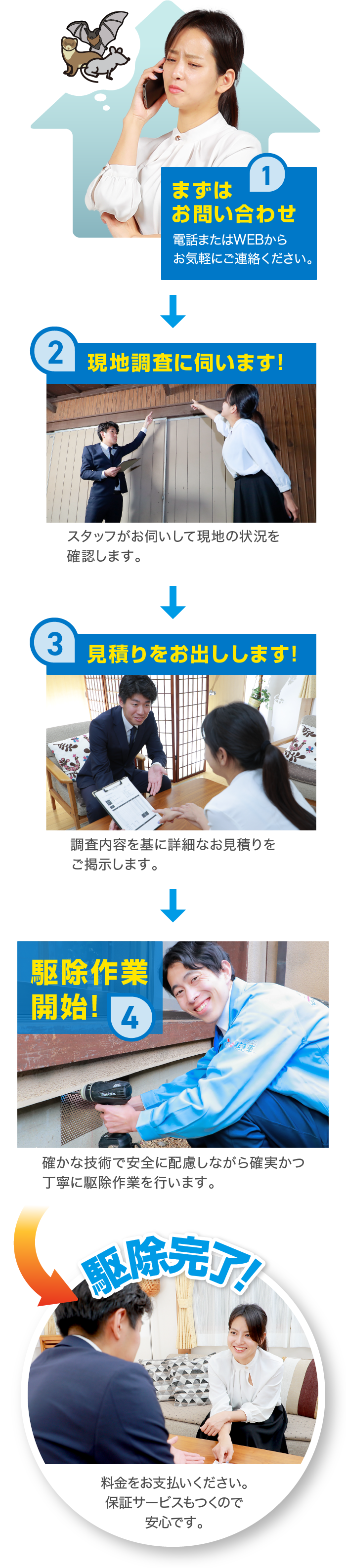お電話 無料調査 見積もり作業説明 駆除作業 駆除完了！
