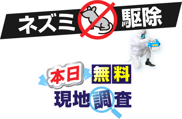 害獣駆除 本日 無料現地調査