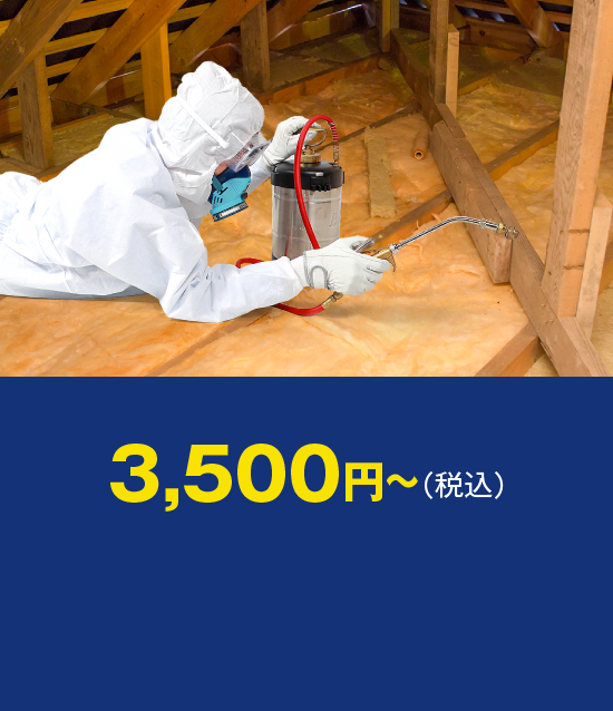 簡易駆除 3,500円～（税込）