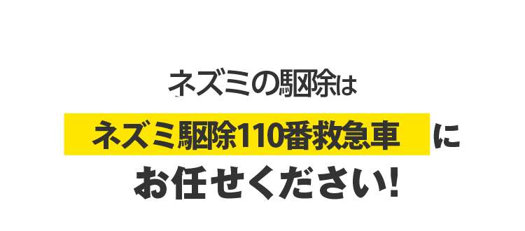ネズミの駆除はネズミ駆除110番救急車にお任せください！