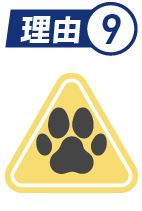 理由9